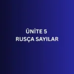 ÜNİTE 5 RUSÇA SAYILAR